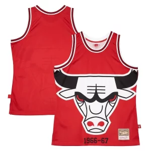 Hermoso Lujoso Elegante Chicago Bulls Hardwood Classics Blown Out Fashion Jersey Red